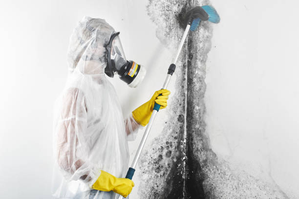 Best HVAC Mold Inspection and Cleaning  in Garden Grove, FL