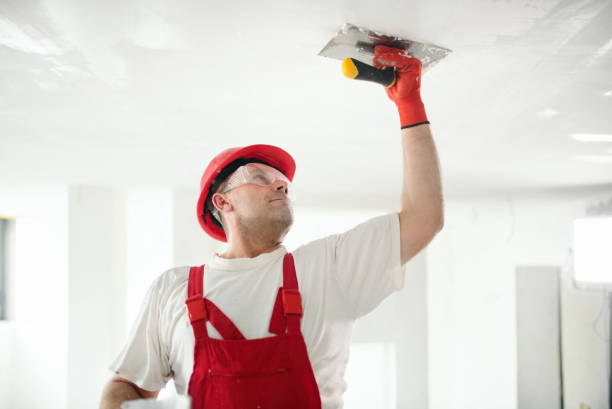 Professional Mold Removal in Garden Grove, FL