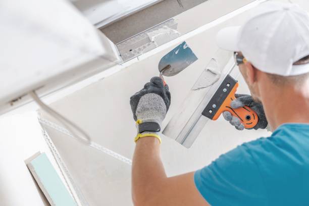 Best Post-Construction Mold Inspection  in Garden Grove, FL